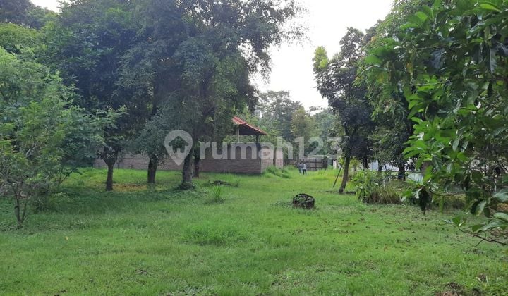 Jual Tanah di Ngaliyan raya 11000 m² SHM Jual Tanah di Ngaliyan raya 11000 m² SHM