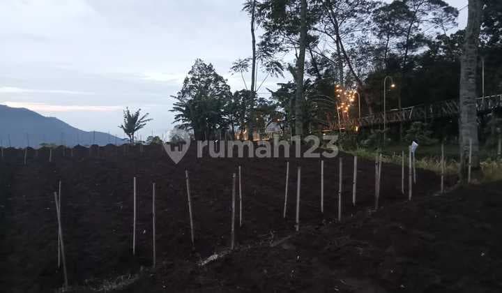 Tanah View Bagus Di Kopeng