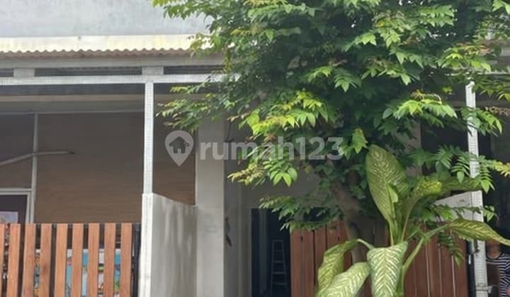 Di Kontrakan Rumah Dua Kamar Jalan Gunung Talang Denpasar