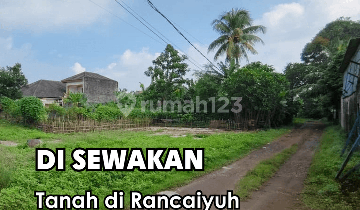 Di Sewakan !!! Tanah di Rancaiyuh Panongan Tangerang Luas Tanah +- 1470M²