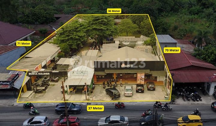 Jual Tanah Komersial Dekat Unpam di Puspitek Raya 3010M2 Tangerang Selatan