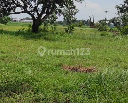 DIJUAL CEPAT TANAH DARAT DI KARAWANG