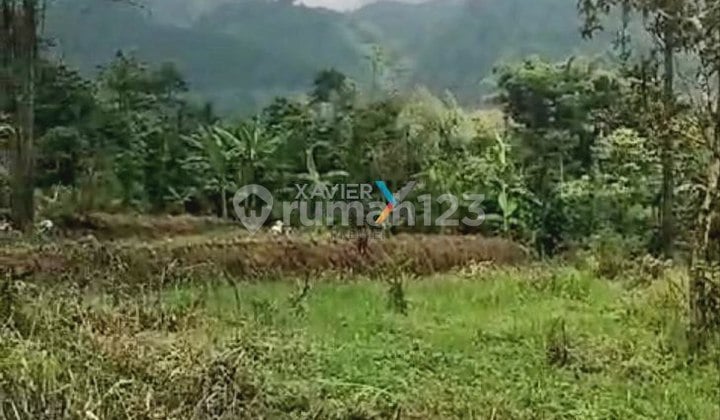 Tanah di Sukapura, Sapikerep Probolinggo