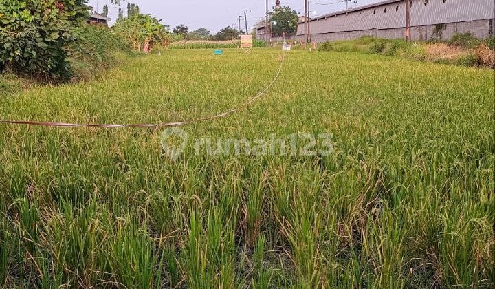 Tanah Siap Bangun di Jl. Raya Sidogiri, Sungiwetan Kab. Pasuruan