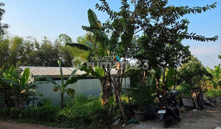 Tanah Kavling di Semanding Sumbersekar, Dau Malang
