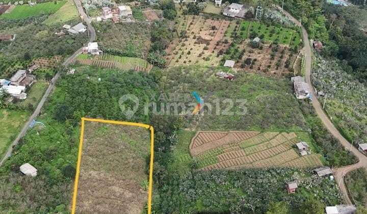 Tanah, Lahan Perkebunan di Selecta, Tulungrejo Bumiaji Batu