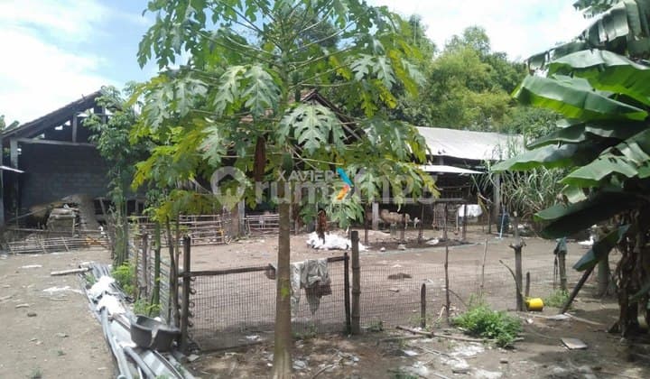 Tanah di Jalan Purnama Jogoroto, Jombang