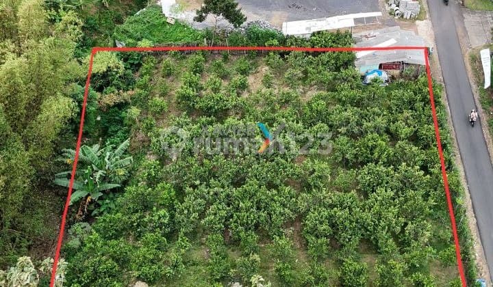 Tanah Kavling Siap Bangun di Puncak Joyo Agung, Merjosari Lowokwaru Malang
