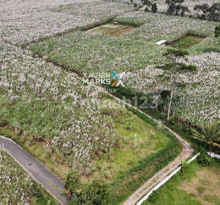 Tanah Kavling Super Luas di Daerah Mondoroko, Singosari Malang