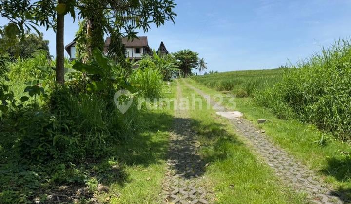 Tanah Kavling Pantai Nyanyi 8 min ke Pantai