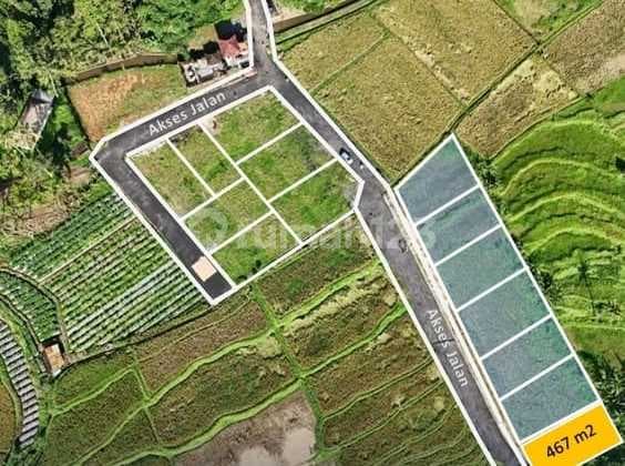 Dijual tanah langka 467m2 di Jln Raya Semana ubud