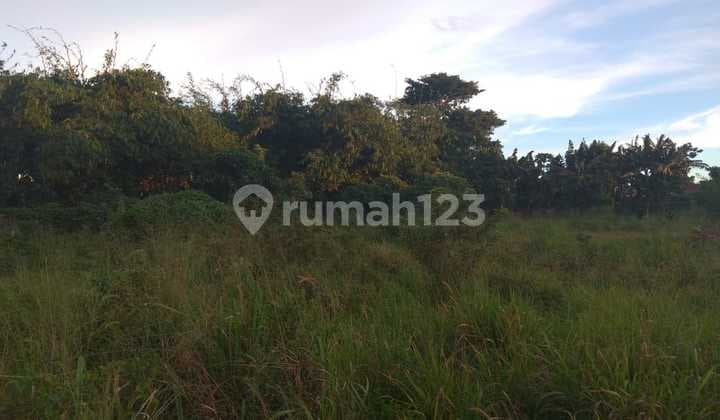 Dijual Tanah Lokasi Bagus Untuk Usaha Di Cikaret Cibinong Bogor
