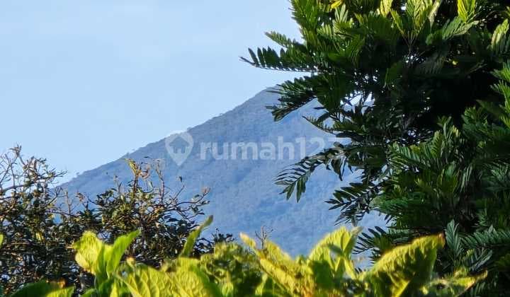 Bougainvillea Villa Puncak