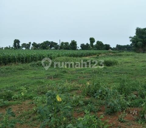Dijual Tanah Industri di Raya Bypass Gempol Pasuruan Exit Tol Gempol