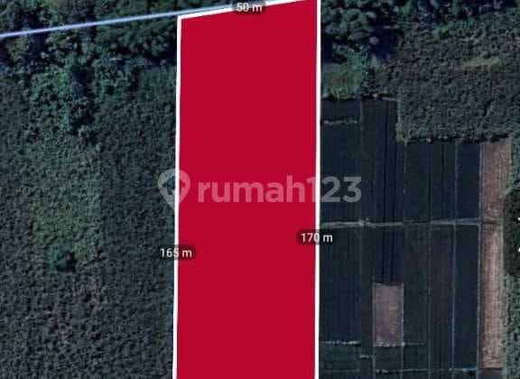 Tanah Industri Murah Dibawah Harga Pasar kawasan Industri