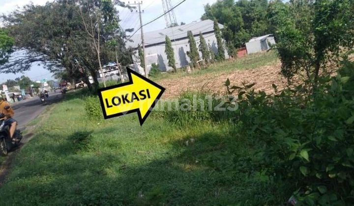 Dijual Tanah di Sidowayah, Kedunggalar, Ngawi