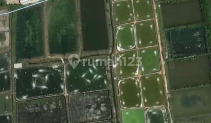 Dijual Tanah di Jl. Raya Jakarta Surabaya Socorejo, Jenu, Tuban