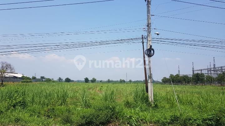 Dijual Tanah Luas Strategis di Karangwinongan, Jombang