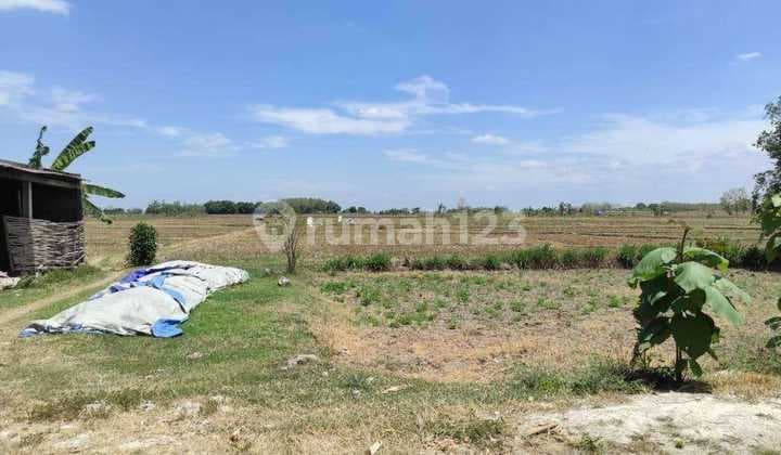 Dijual Tanah Gudang Luas Strategis di Jl. Raya Soko, Tuban