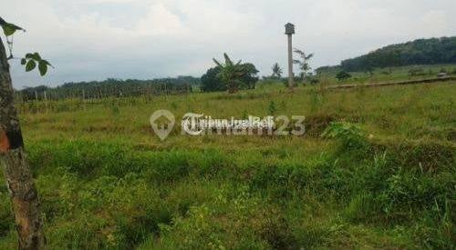 Dijual Tanah Industri Mantup Lamongan Dijual Tanah Industri Mantup Lamongan