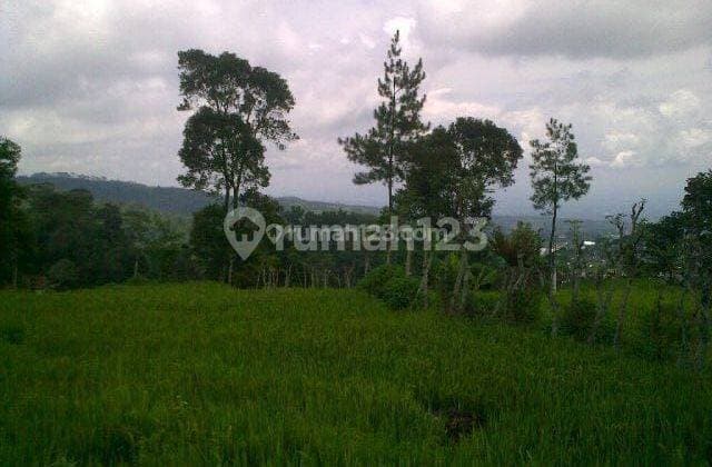 Dijual Tanah Pacet Mojokerto