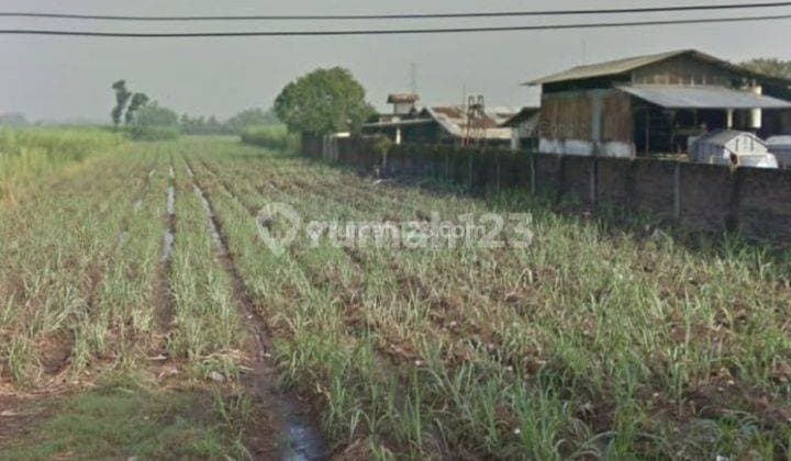 Dijual Tanah Mojoagung Jombang