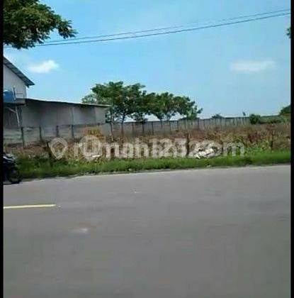Dijual Tanah Raya Widang Tuban Dijual Tanah Raya Widang Tuban