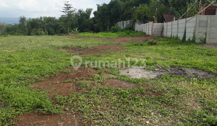 For Sale: Spacious Strategic Zero Road Land in Pasuruan, East Java