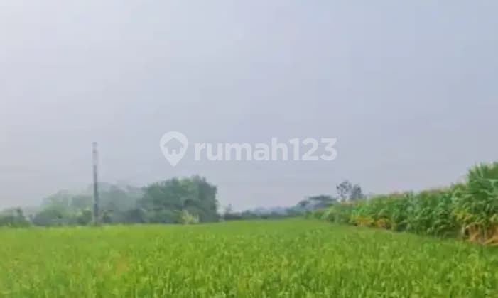 Dijual Tanah Luas Strategis di Desa Pugeran Kec Gondang Mojokerto