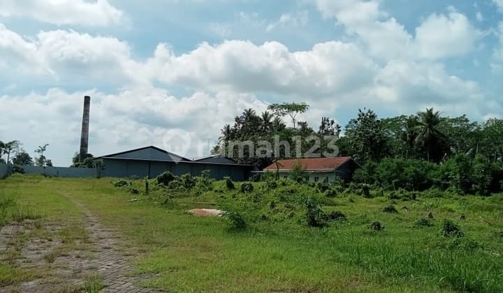 Dijual Tanah Luas Strategis Ex Pabrik Minyak Goreng di Jember