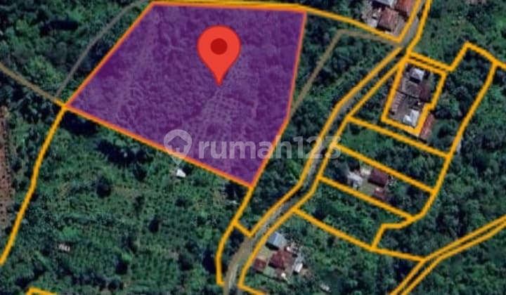 Dijual Tanah View Danau Kintamani 10are-2hektar