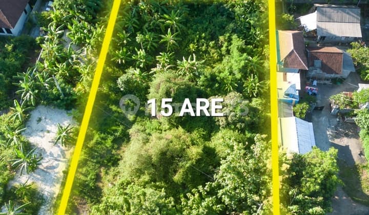Land for Sale Near Pandawa Beach, Area 15 ares