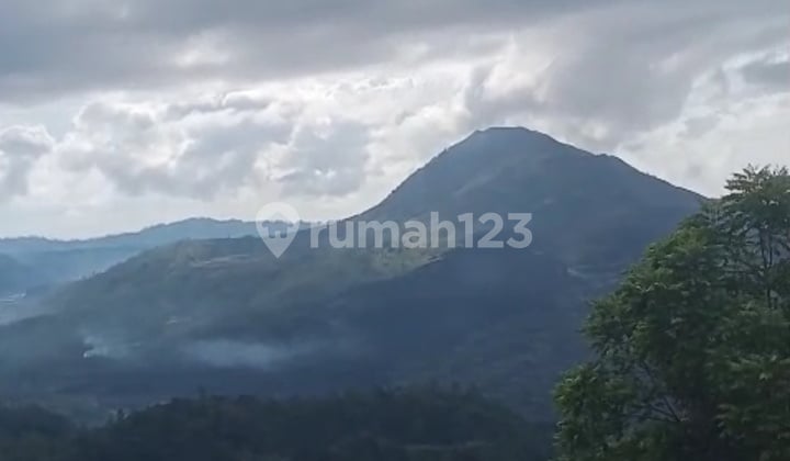 Dijual Tanah Full View 10are Dekat Indomaret View Kintamani