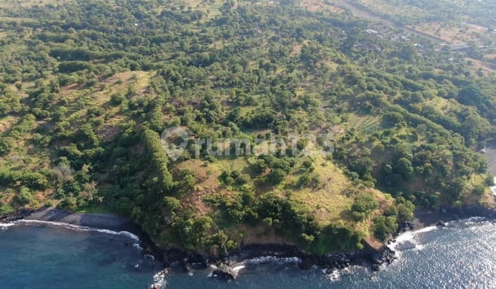 Tulamben Amed Wreck Ship Diving Spot Tourism For Sale