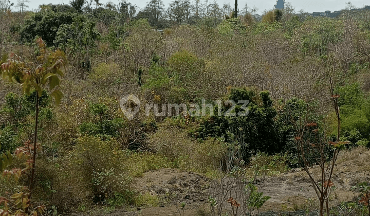 For Sale Land 50ares-2hectares Splittable Balangan Beach