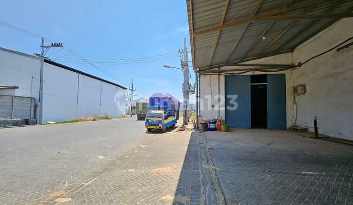 Warehouse for Rent, Maspion Earth, Romokalisari