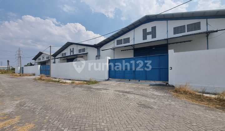 For Rent: Maspion Romokalisari Earth Warehouse