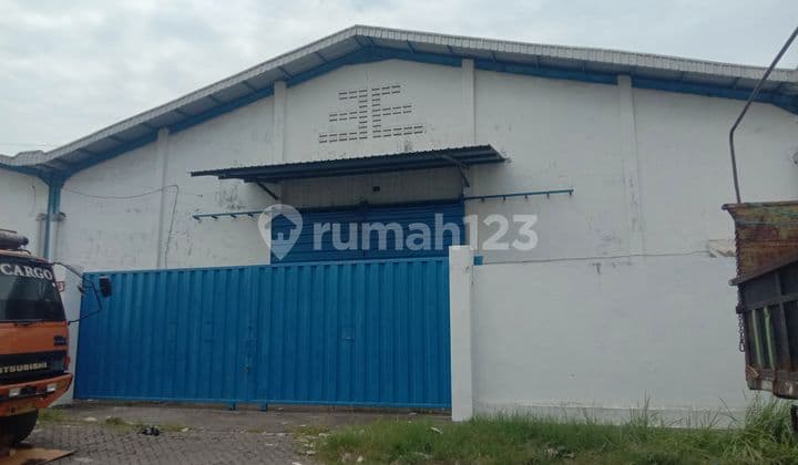 For rent warehouse BMU Romokalisari Bumi Maspion Utara