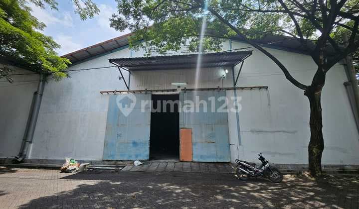 Disewakan Gudang Romokalisari Benowo Surabaya Bebas Banjir