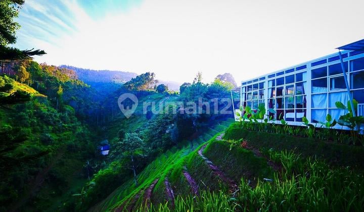 Lahan Premium 10 Hectar di Lembang Bandung