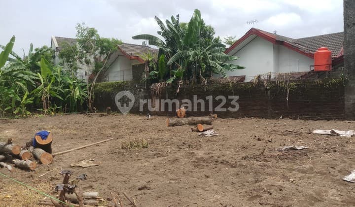 Tanah Pekarangan Termurah Dekat Ugm Jual Cepat