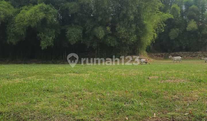 Di Jual Kavling Permata Buana