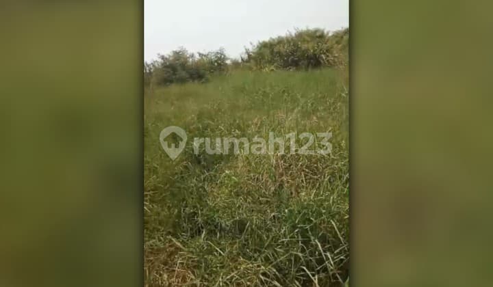 Dijual Tanah di Desa Sukadaya Kab Bekasi