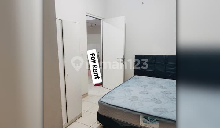 For Rent Apartment at The Springlake Summarecon Tower Azolla