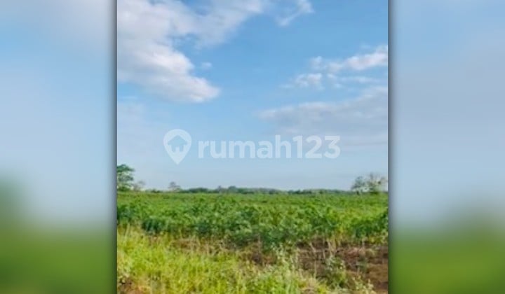 Dijual Tanah di Tanjung Ratu Ilir, Lampung Tengah