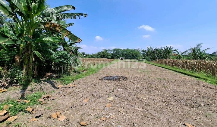 Dijual Tanah Pekarangan Pinggir Jalan