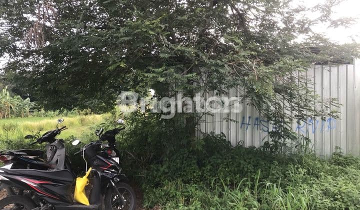 TANAH SAWAH MURAH BARAT CEBONGAN