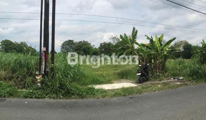 DIJUAL TANAH SAWAH KERING