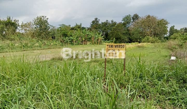 dijual segera bu tanah sawah kering bedingin sumberadi mlati sleman