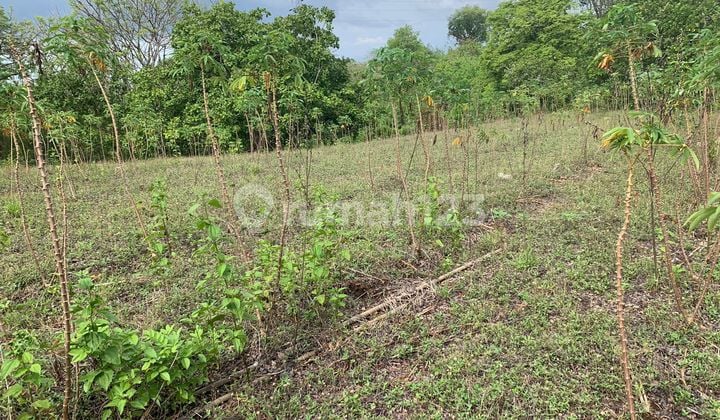 For Sale Cheap Land in Sikka, Maumere 5 Km From City Center
